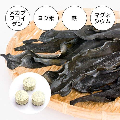 FINE JAPAN Laminaria extract with minerals and fucoidan, 50 days